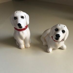 Pioneer Woman salt & pepper shaker set